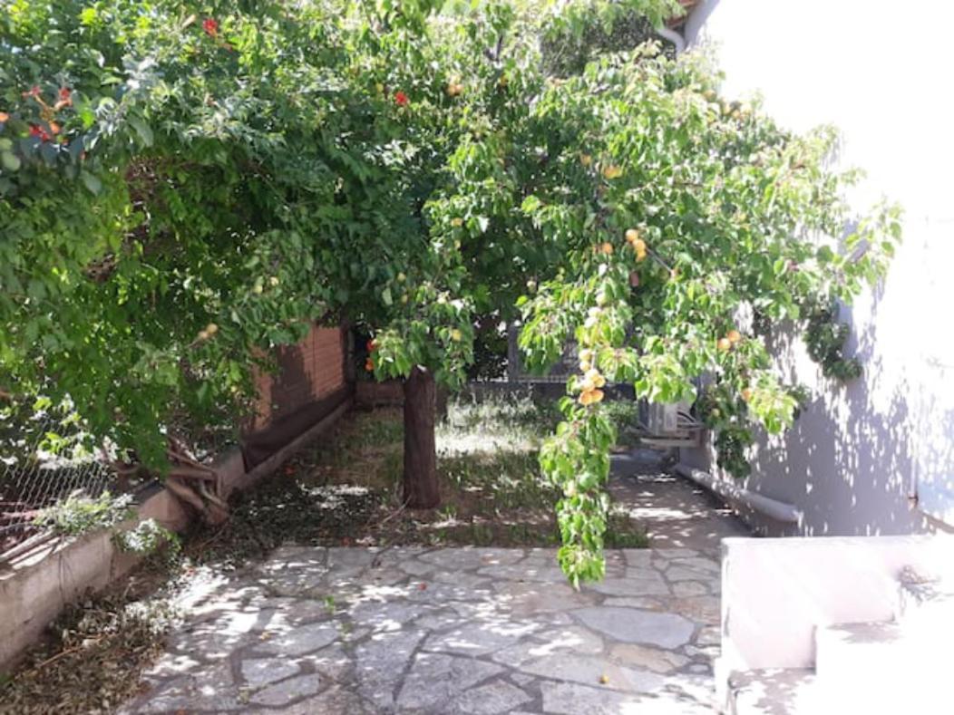 Le Galli En Plein Coeur De Sanary מראה חיצוני תמונה